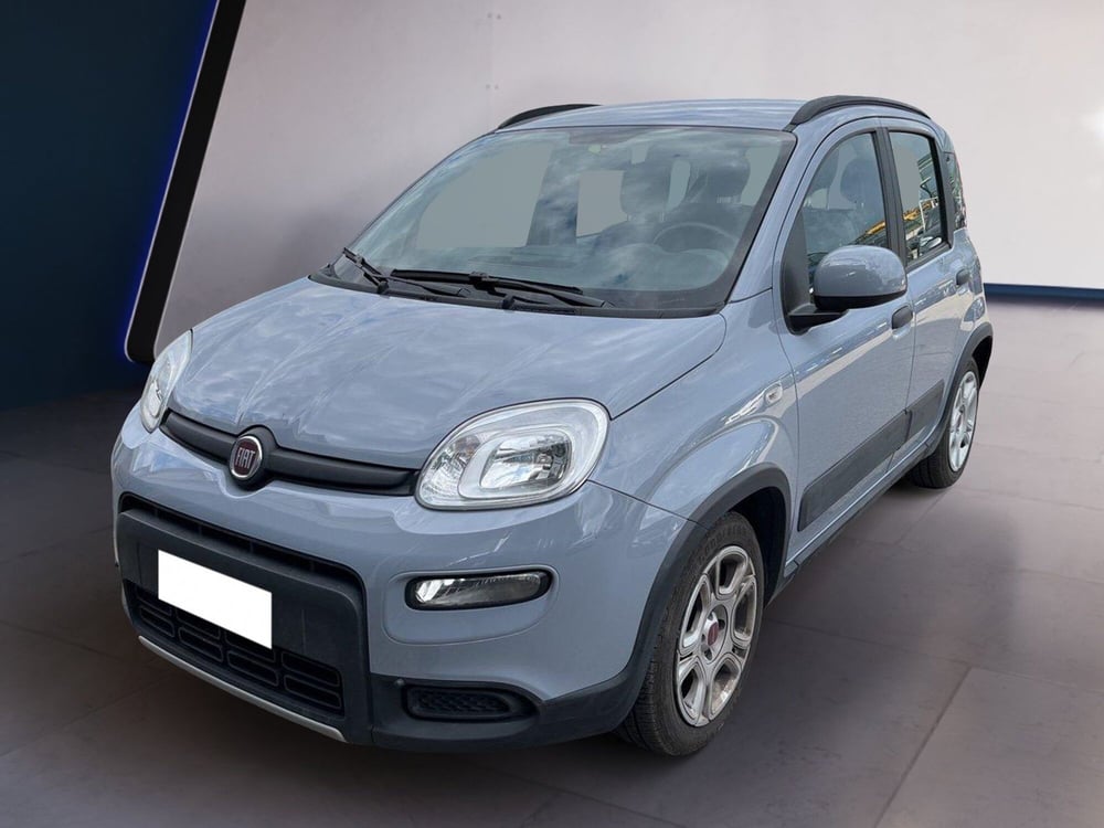 Fiat Panda usata a Torino (2)