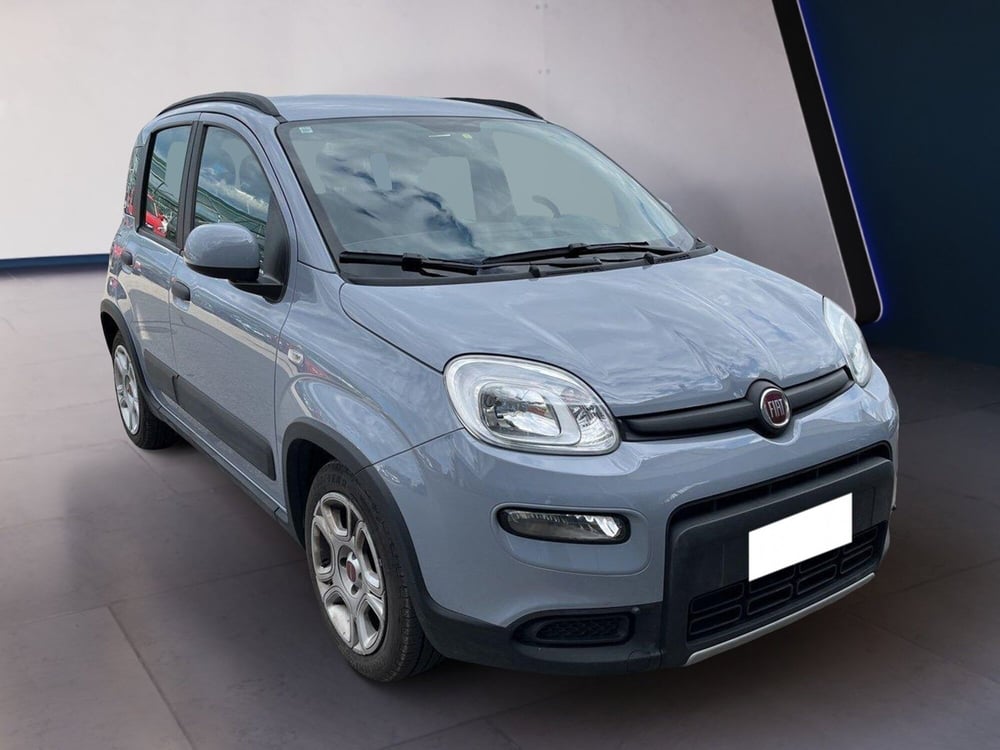 Fiat Panda usata a Torino (3)