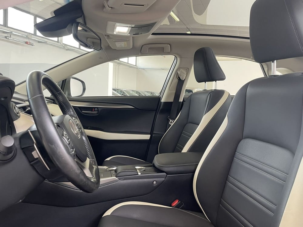 Lexus NX usata a Treviso (11)