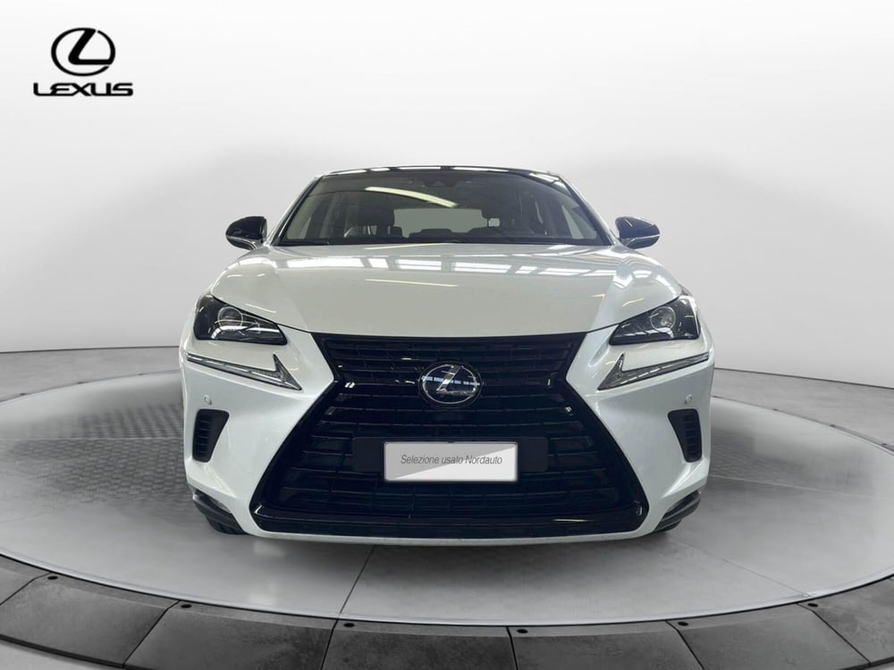 Lexus NX usata a Treviso (2)