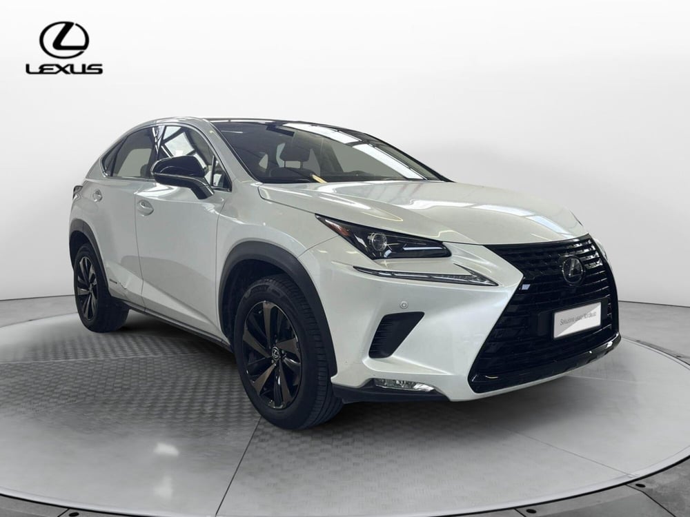 Lexus NX usata a Treviso (3)