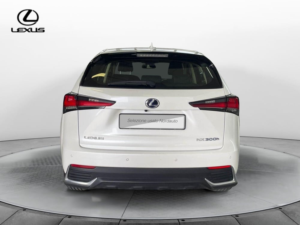 Lexus NX usata a Treviso (6)