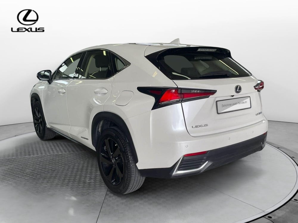Lexus NX usata a Treviso (7)
