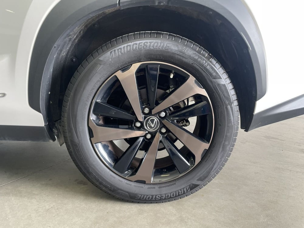 Lexus NX usata a Treviso (9)