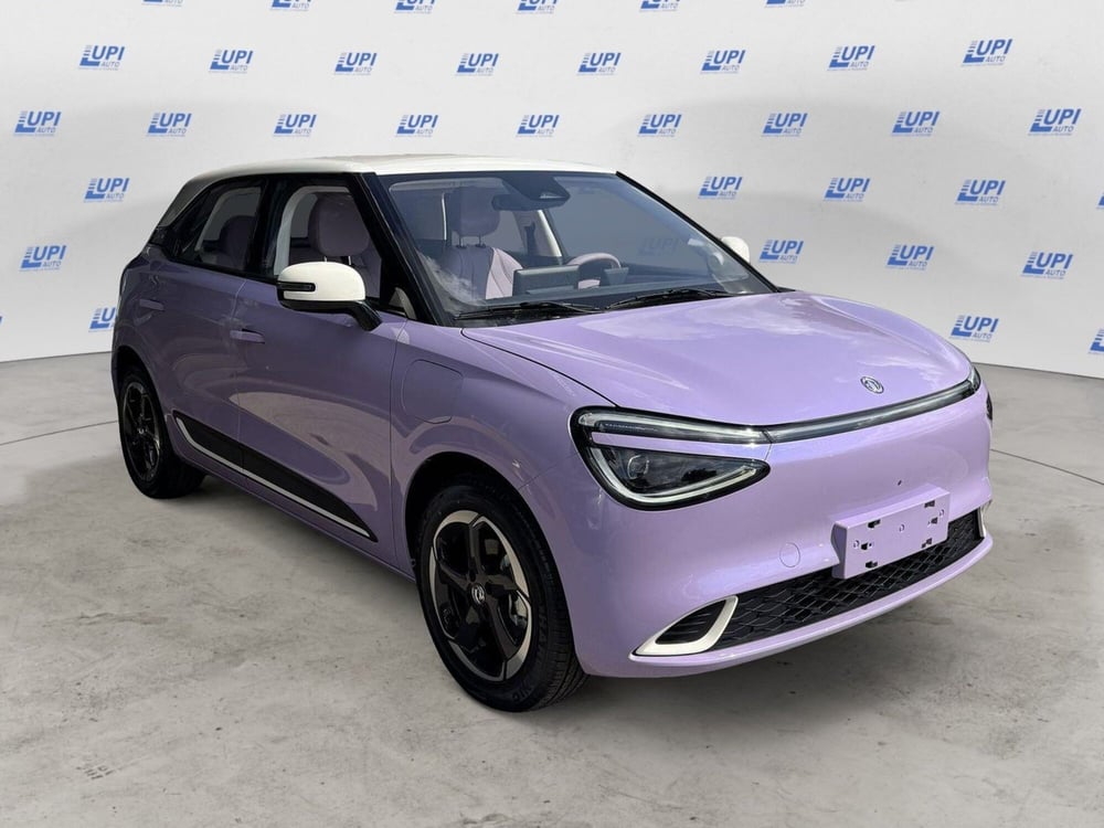 Dongfeng Box nuova a Pistoia (3)