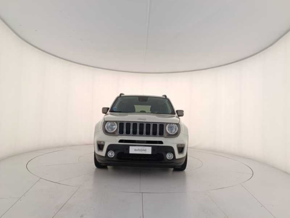 Jeep Renegade usata a Treviso (2)