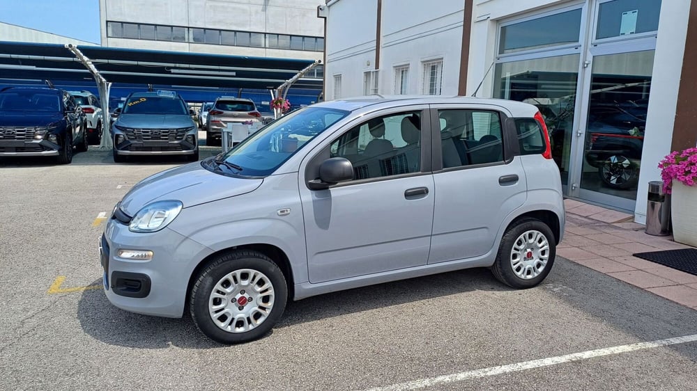 Fiat Panda usata a Padova