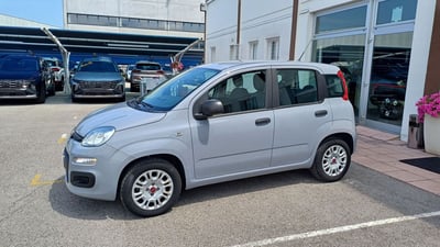 Fiat Panda 1.2 Easy del 2018 usata a Veggiano