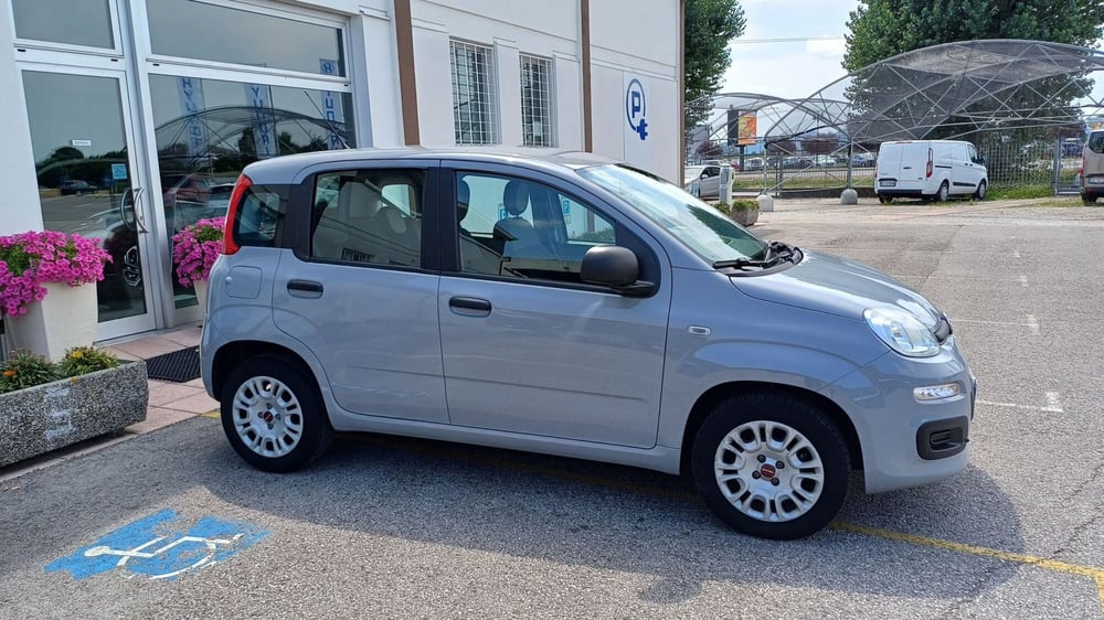 Fiat Panda usata a Padova (6)