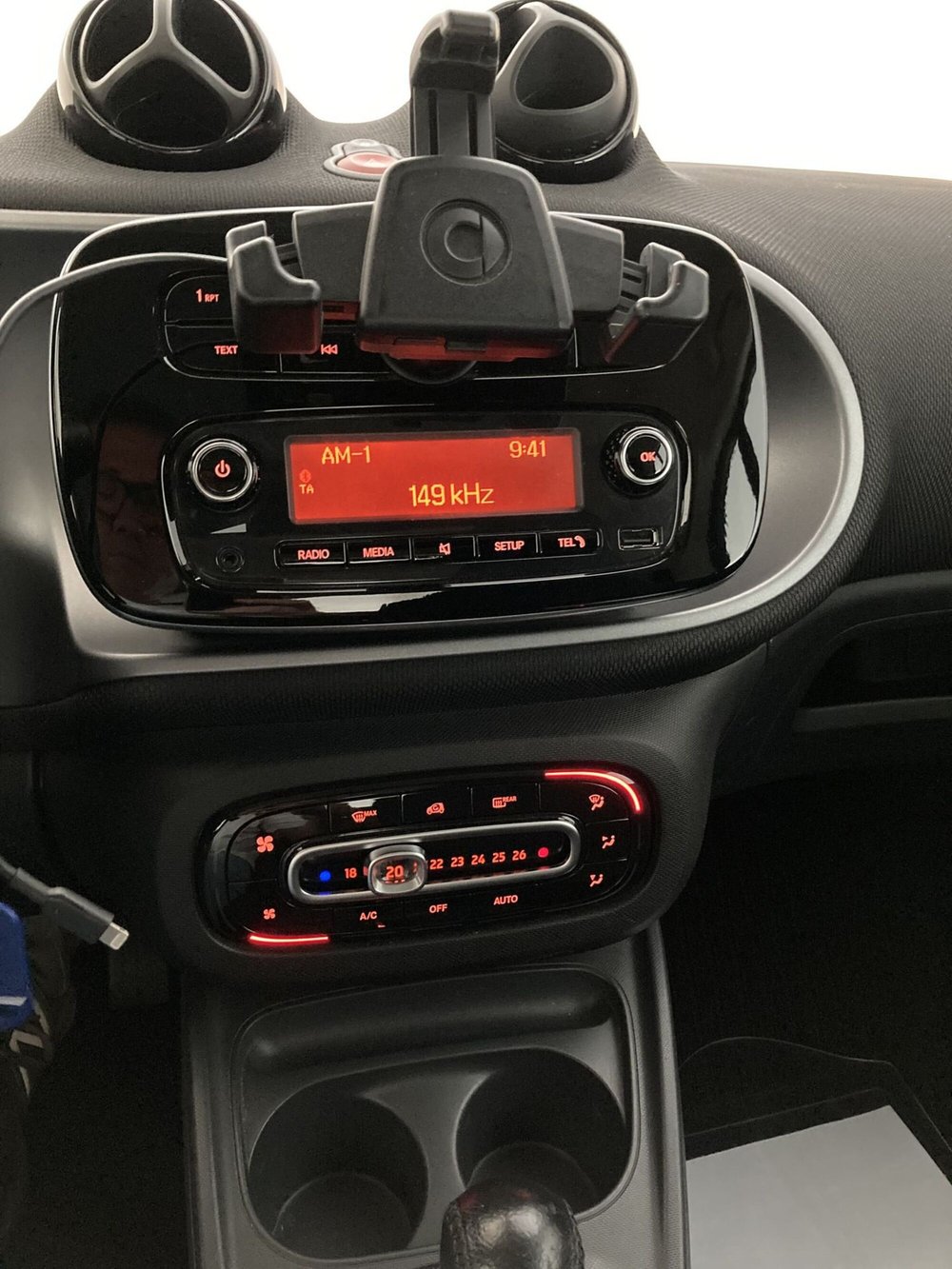 smart Fortwo usata a Barletta-Andria-Trani (12)
