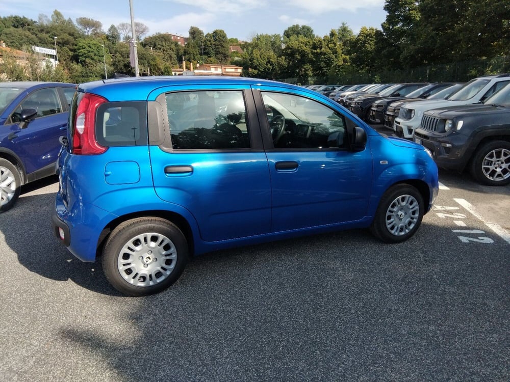 Fiat Panda nuova a Roma (6)