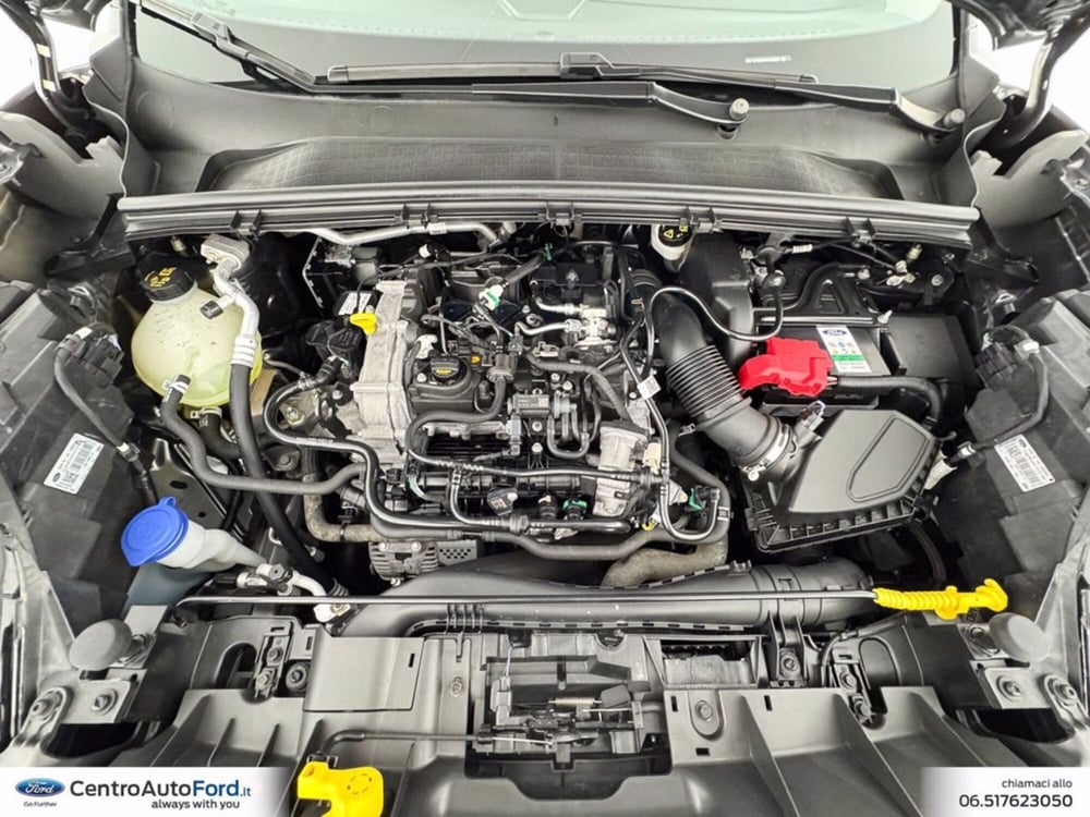 Ford Puma usata a Roma (13)