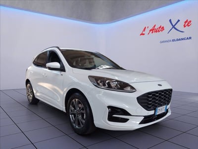 Ford Kuga 1.5 EcoBoost 150 CV 2WD ST-Line del 2023 usata a Trezzano sul Naviglio