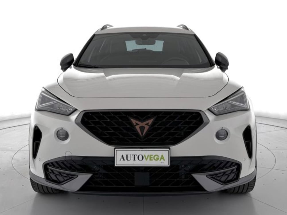 Cupra Formentor usata a Vicenza (2)