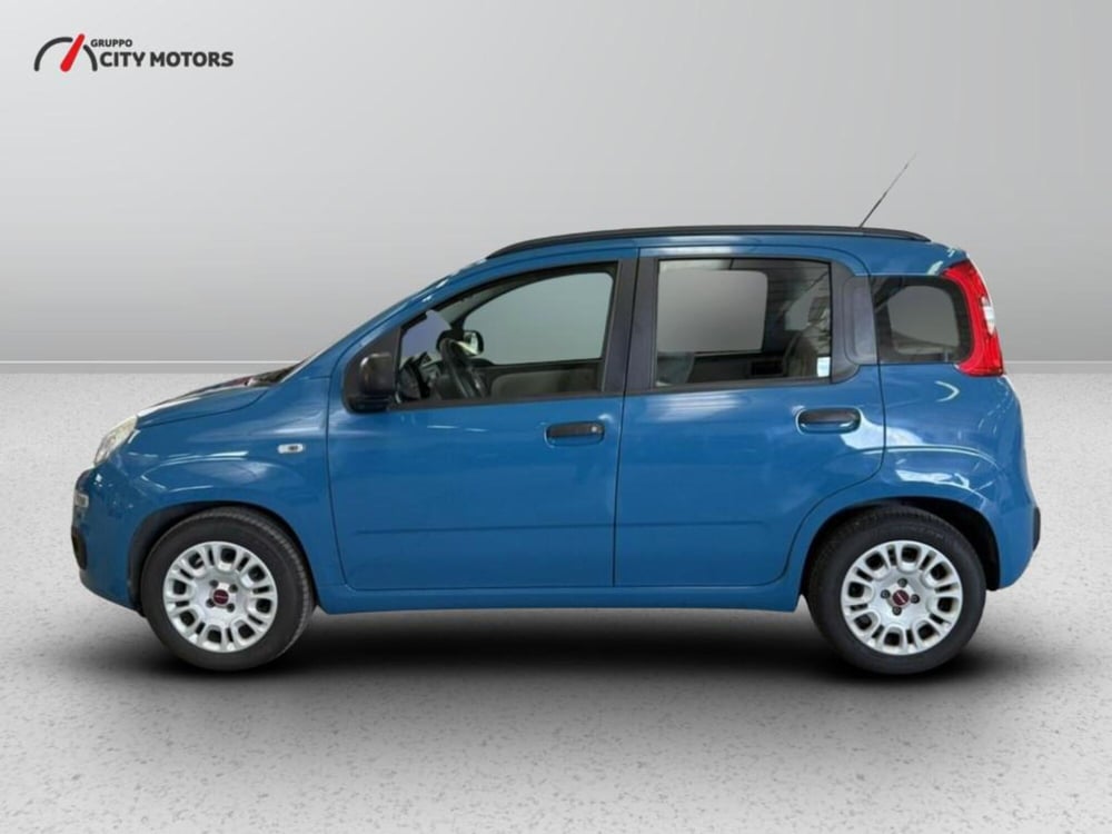 Fiat Panda usata a Monza e Brianza (3)