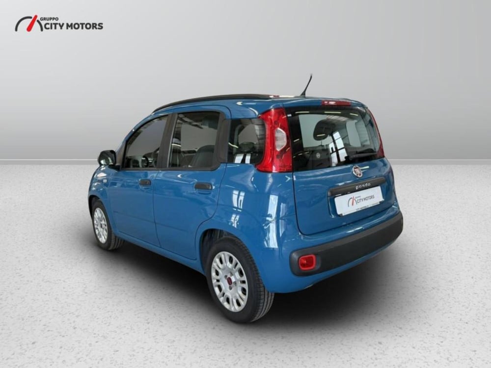 Fiat Panda usata a Monza e Brianza (4)