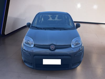 Fiat Panda 1.0 firefly hybrid s&amp;s 70cv 5p.ti del 2022 usata a Torino