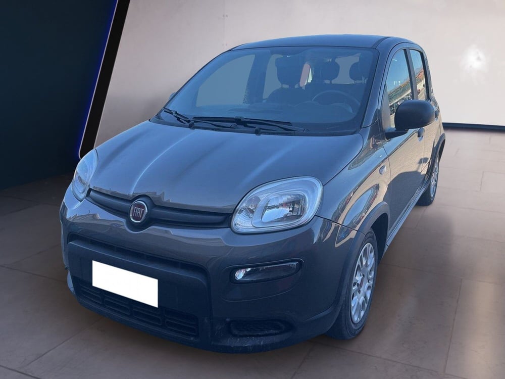 Fiat Panda usata a Torino (2)