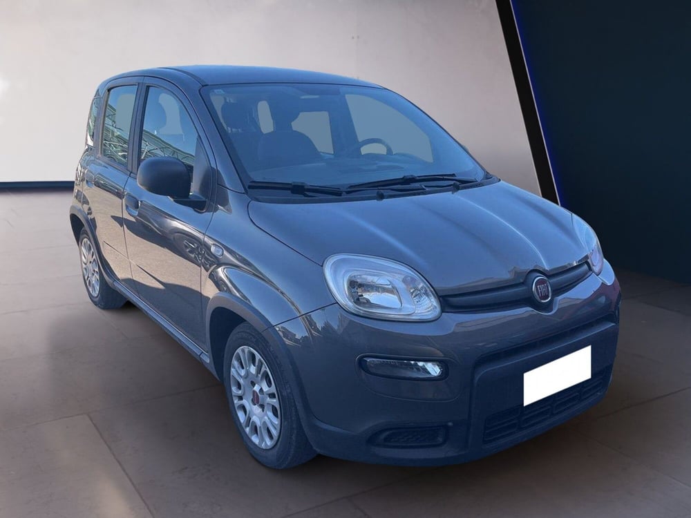 Fiat Panda usata a Torino (3)