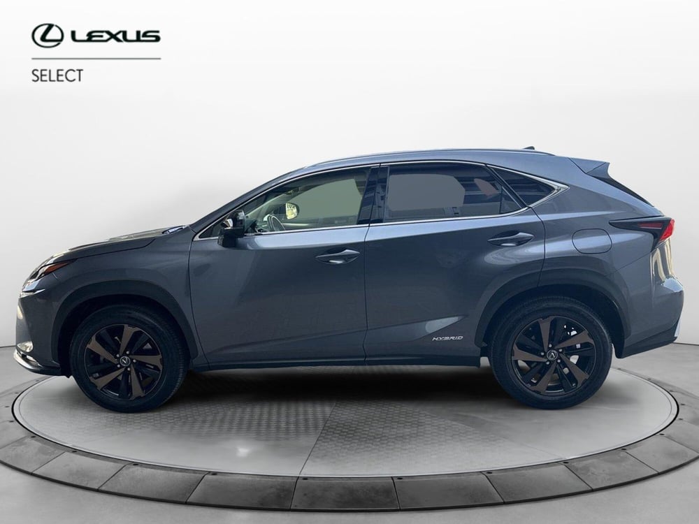 Lexus NX usata a Siracusa (2)