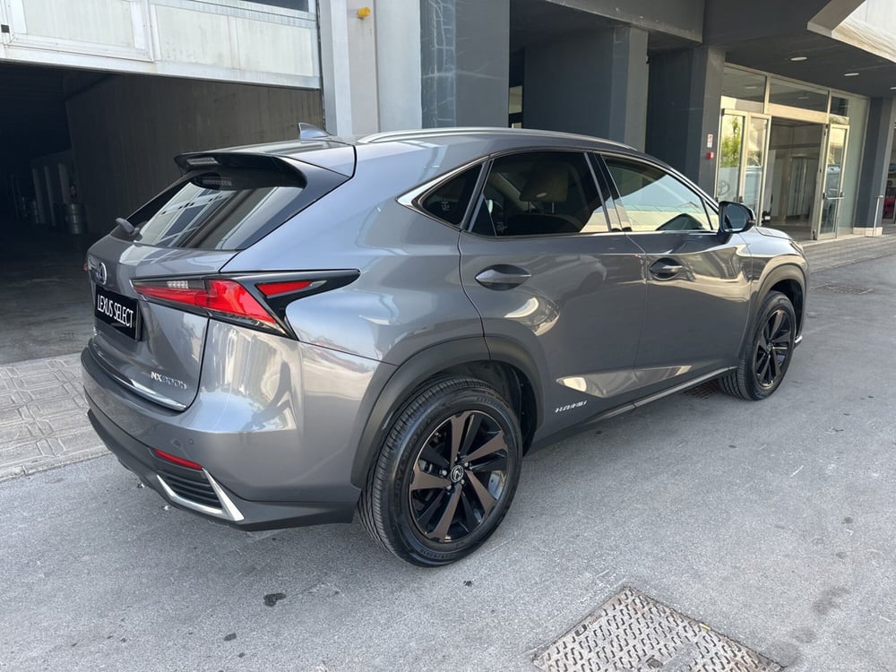 Lexus NX usata a Siracusa (3)
