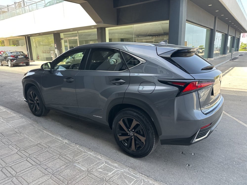 Lexus NX usata a Siracusa (4)