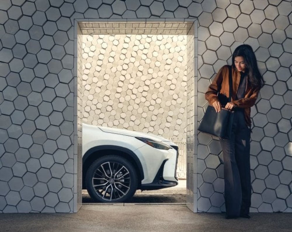 Lexus NX nuova a Cremona (18)