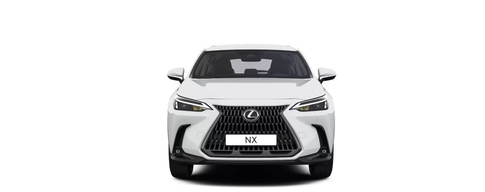 Lexus NX nuova a Cremona (3)