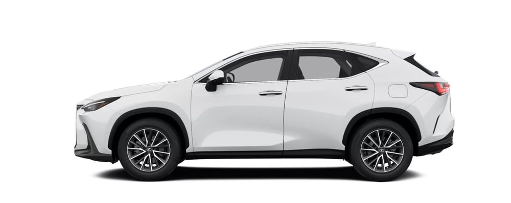 Lexus NX nuova a Cremona (4)
