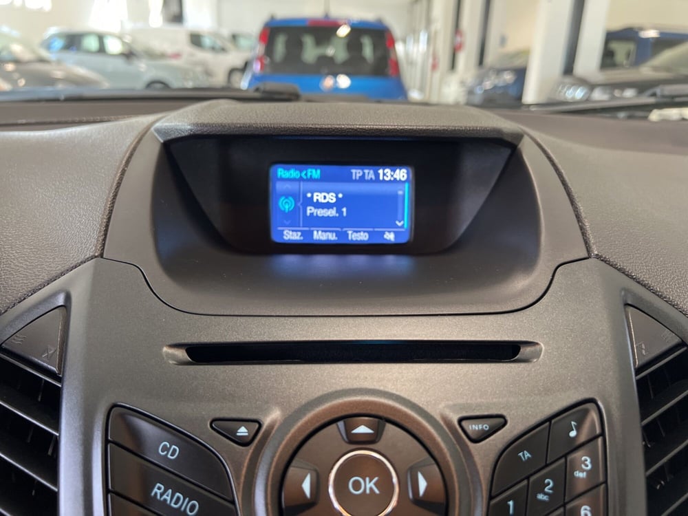 Ford EcoSport usata a Pisa (12)