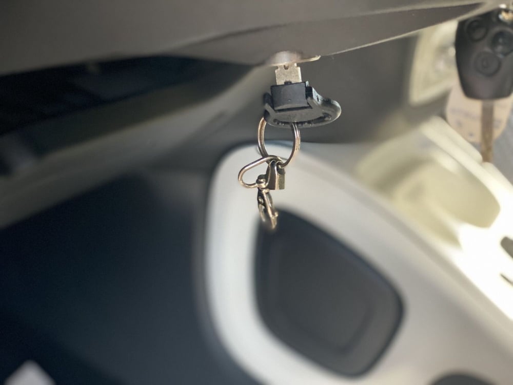 smart forfour usata a Napoli (15)