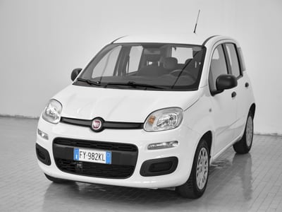 Fiat Panda 1.2 Easy del 2019 usata a Prato