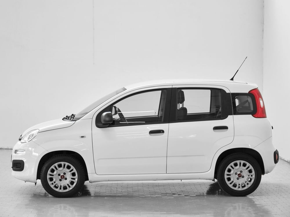Fiat Panda usata a Prato (2)