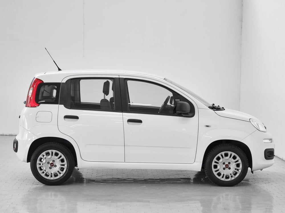 Fiat Panda usata a Prato (4)