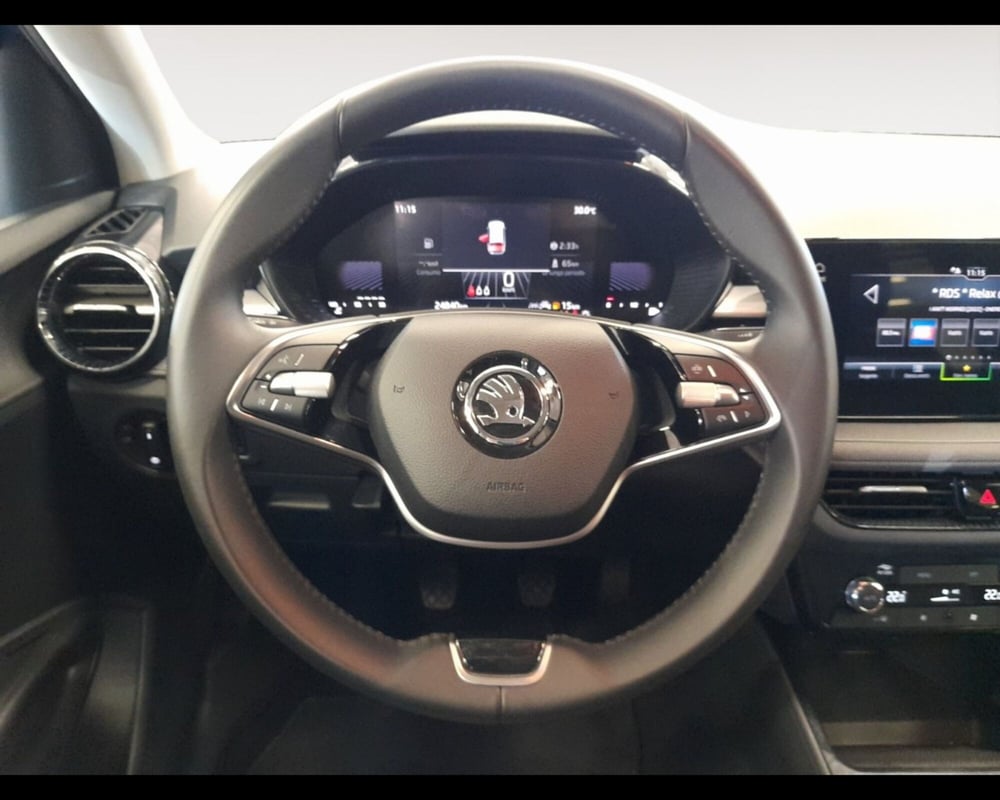 Skoda Fabia usata a Forlì-Cesena (12)