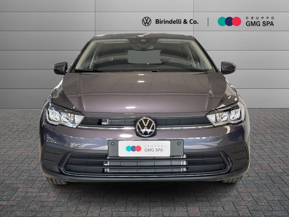 Volkswagen Polo usata a Pistoia (2)