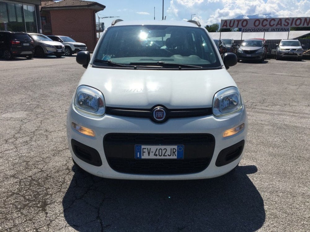 Fiat Panda usata a Cuneo (4)