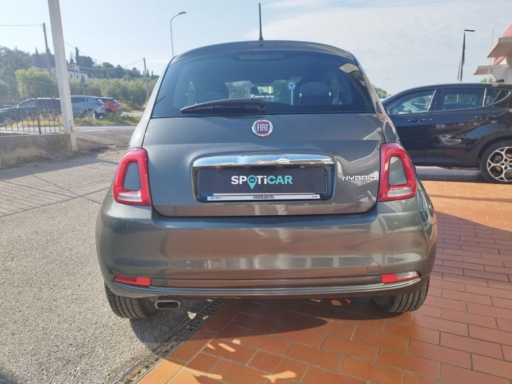 Fiat 500 usata a Arezzo (6)