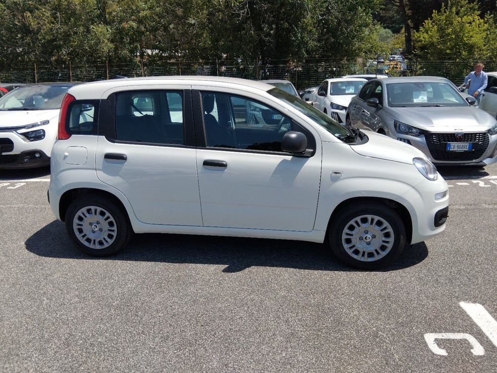 Fiat Panda nuova a Roma (6)
