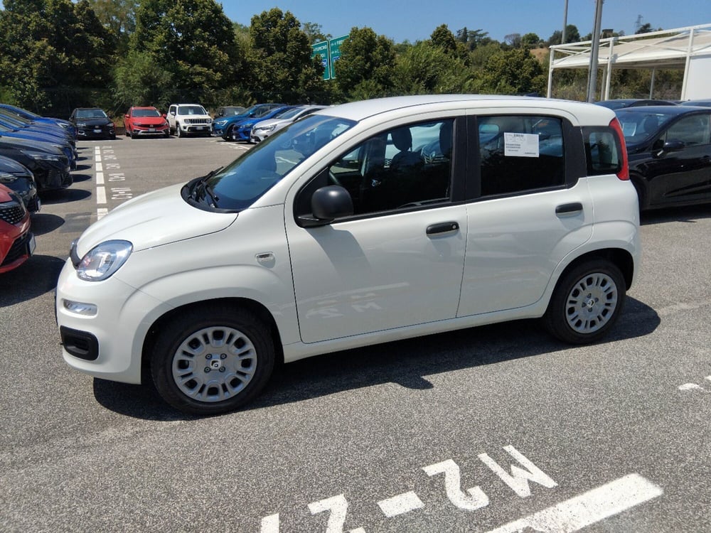 Fiat Panda nuova a Roma (8)