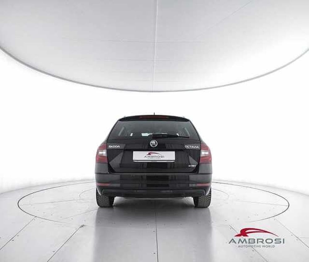 Skoda Octavia usata a Viterbo (6)