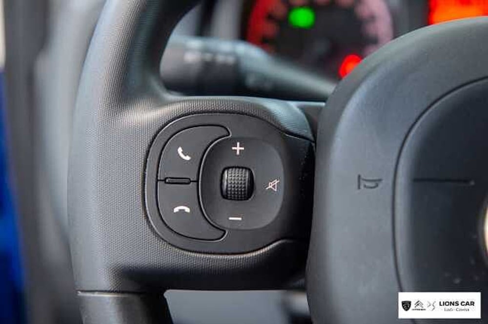 Fiat Panda Cross usata a Lodi (14)