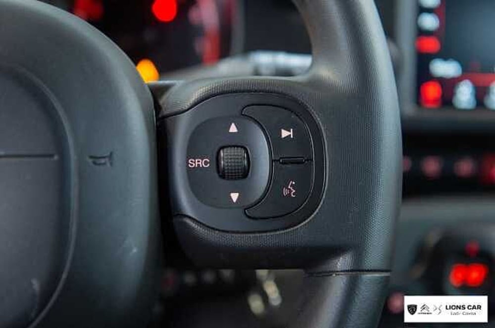 Fiat Panda Cross usata a Lodi (15)