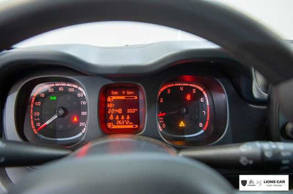 Fiat Panda Cross usata a Lodi (16)