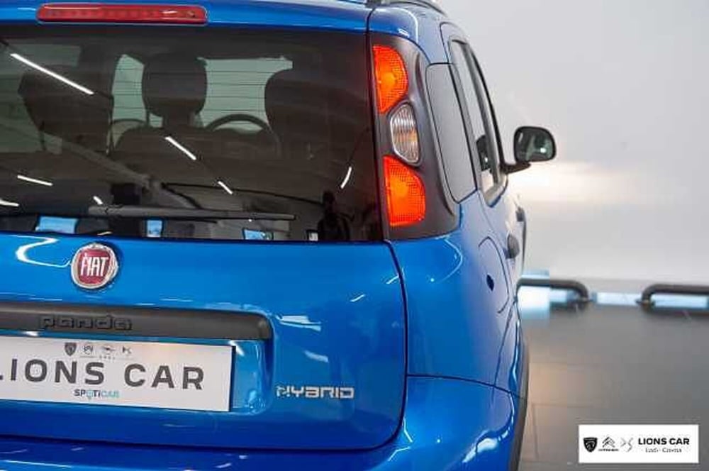 Fiat Panda Cross usata a Lodi (6)