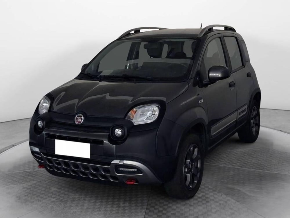 Fiat Panda usata a Torino