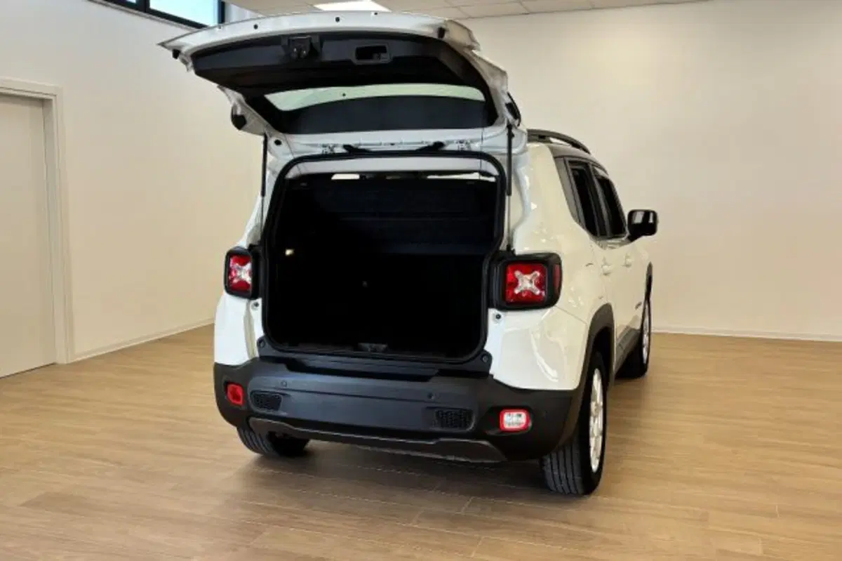 Jeep Renegade usata a Latina (7)