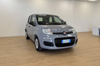 Fiat Panda 1.0 firefly hybrid s&amp;s 70cv 5p.ti del 2022 usata a Fondi
