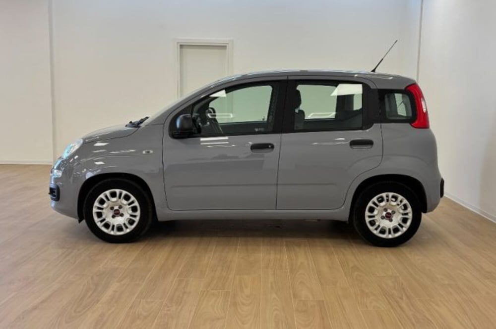 Fiat Panda usata a Latina (4)
