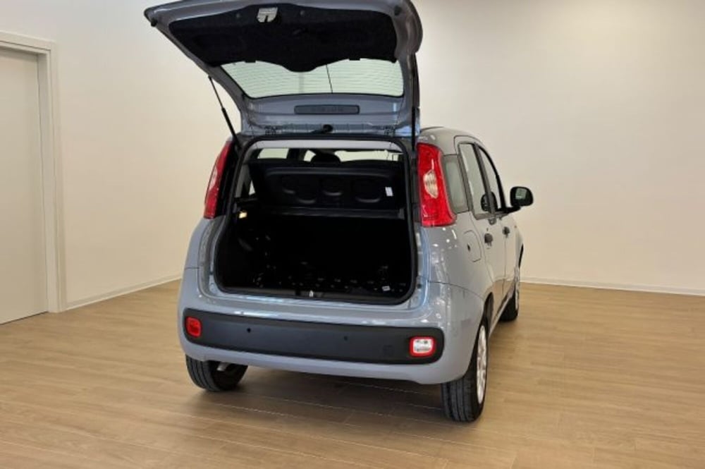 Fiat Panda usata a Latina (7)